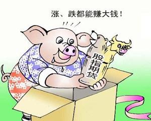 正规配资网站怎么选？真实用户经验分享指南，全网最全分析超低门槛快速入场